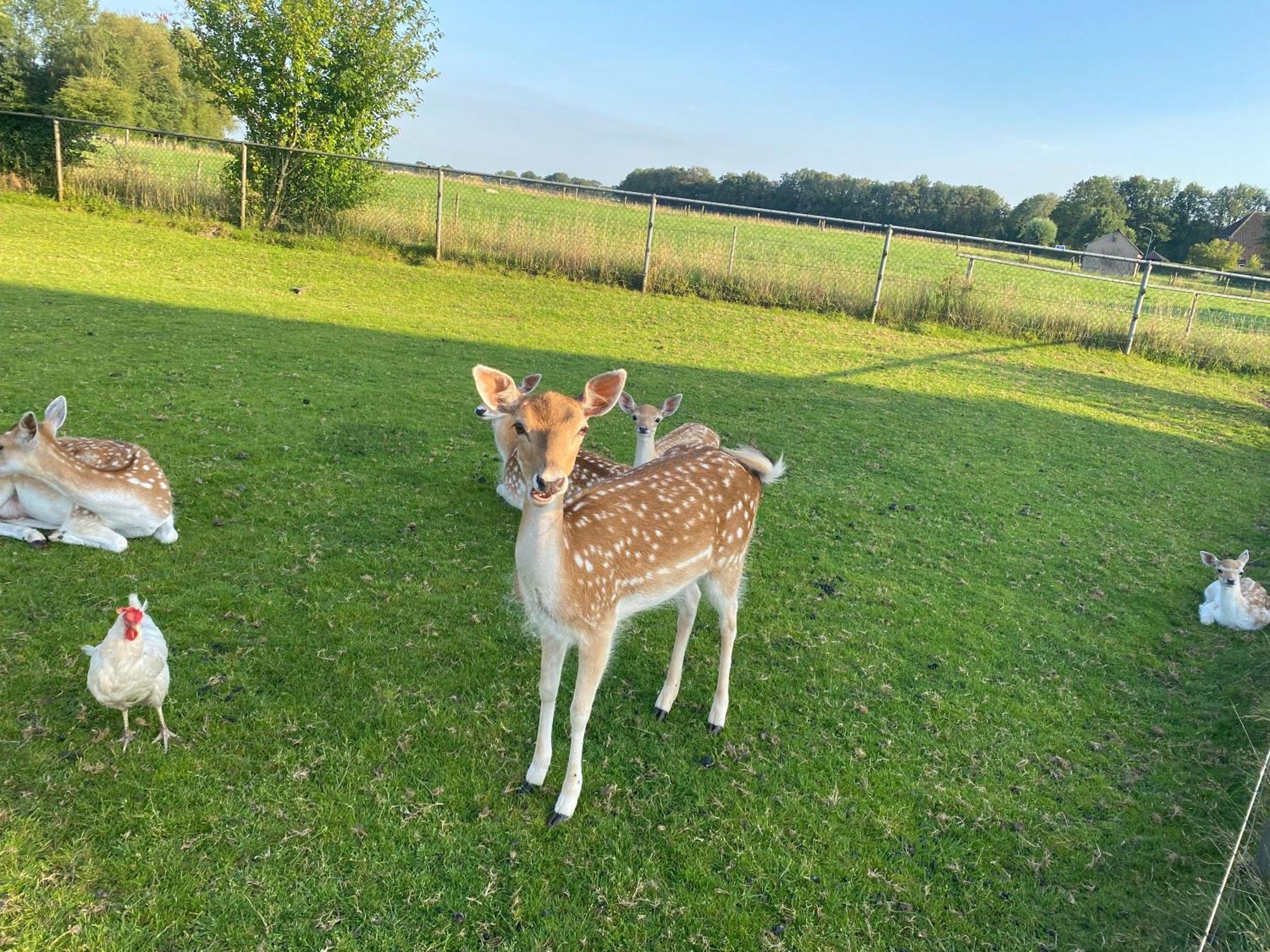 Bed and Breakfast Landelijk Hijken Zewnętrze zdjęcie