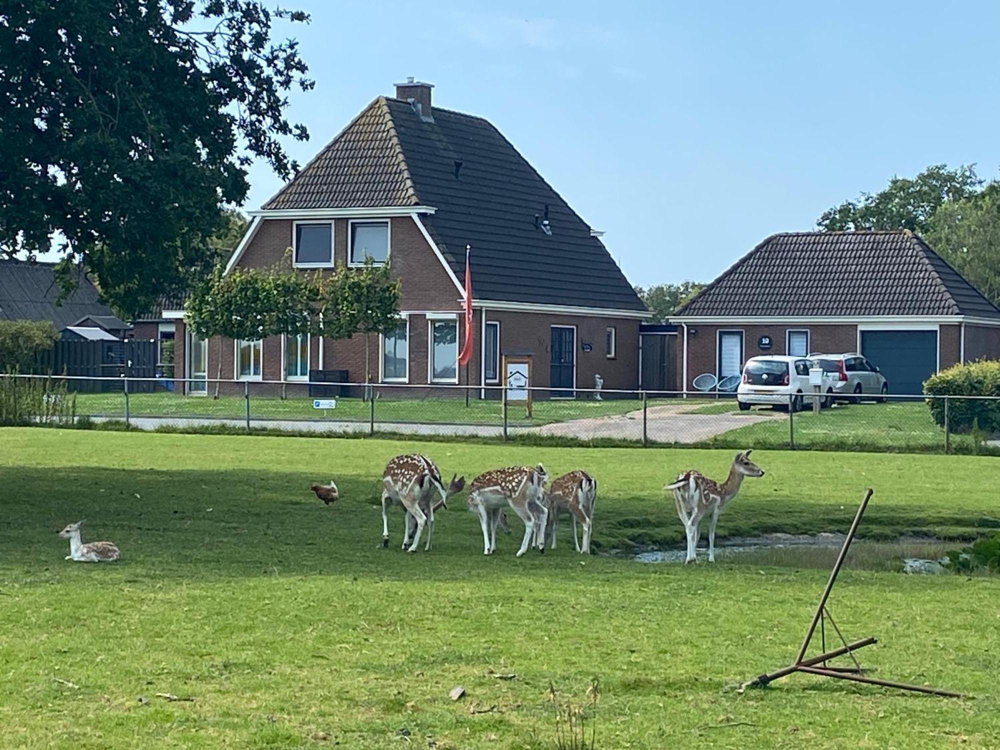 Bed and Breakfast Landelijk Hijken Zewnętrze zdjęcie